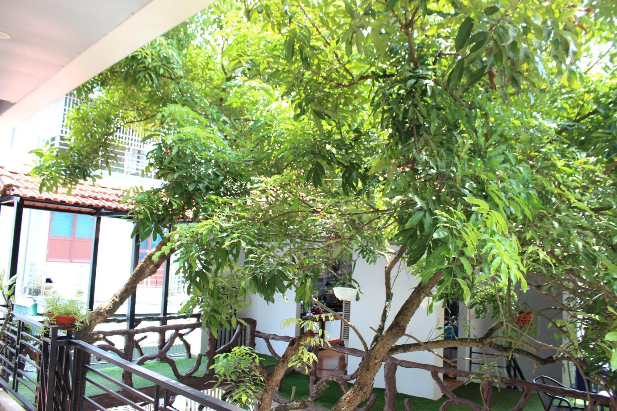 Khai Yen Tam Coc Hostel Ninh Binh Luaran gambar
